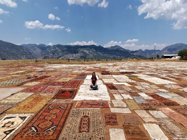 Tarlalara Serip Günlerce Bekletiyorlar! Yurt Dışında 5 Bin Dolara Satılıyor